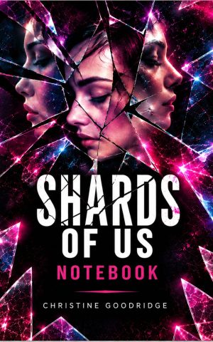 Shards of us notebook